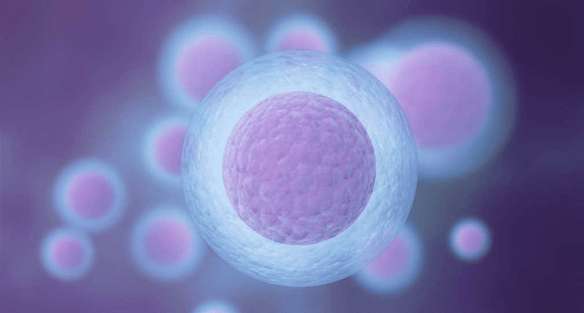 Fertility care